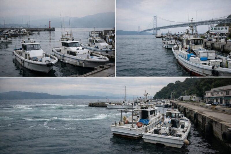 地域ごとの船釣りの違いをイメージできる複数の港の風景