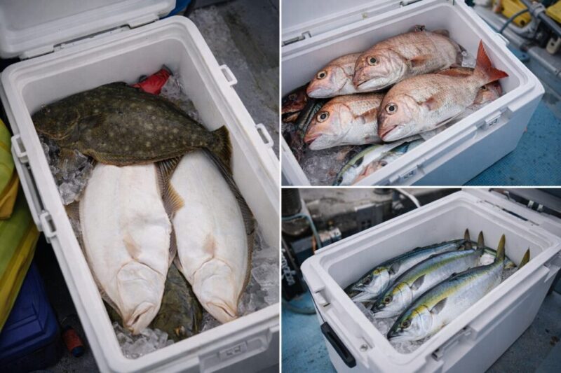 魚種ごとに釣り方や準備が変わることを示す船釣りの釣果イメージ