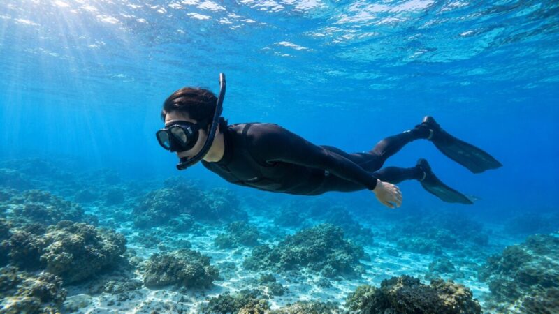 暖かい海で3mmウェットスーツを着て素潜りするダイバー。
