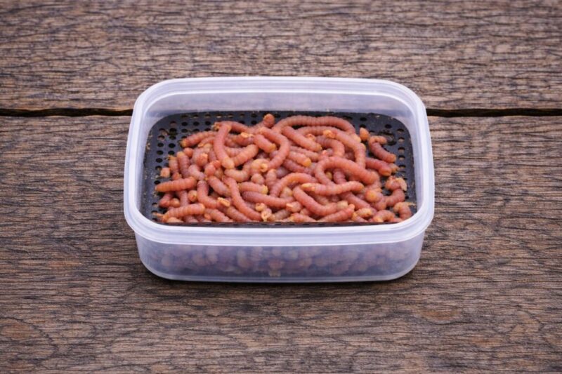 小型の釣り餌箱に滑り止めトレーを入れ、使いやすく整えた簡単カスタムのイメージ