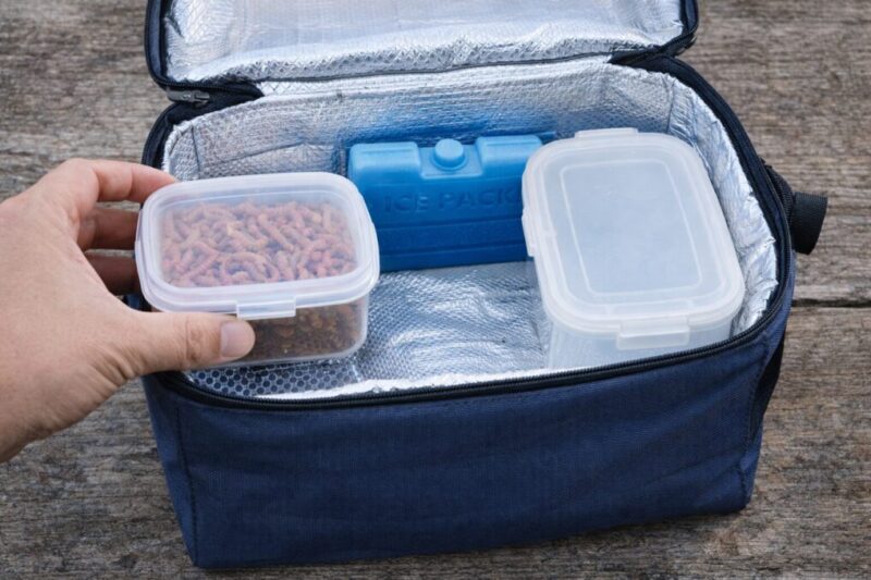 保冷バッグとフタ付きケースを使って釣り餌箱の持ち運びを工夫するイメージ