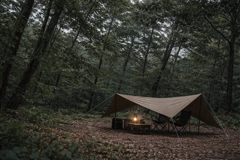 強風や倒木リスクを避けるために、低くタープを張って安全を優先したキャンプサイトの様子