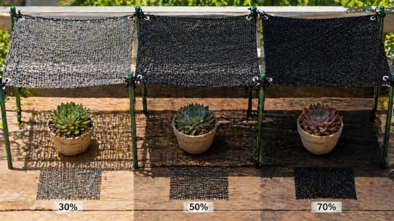 遮光ネットの目の細かさによる日差しの入り方を鉢植えで比較している様子