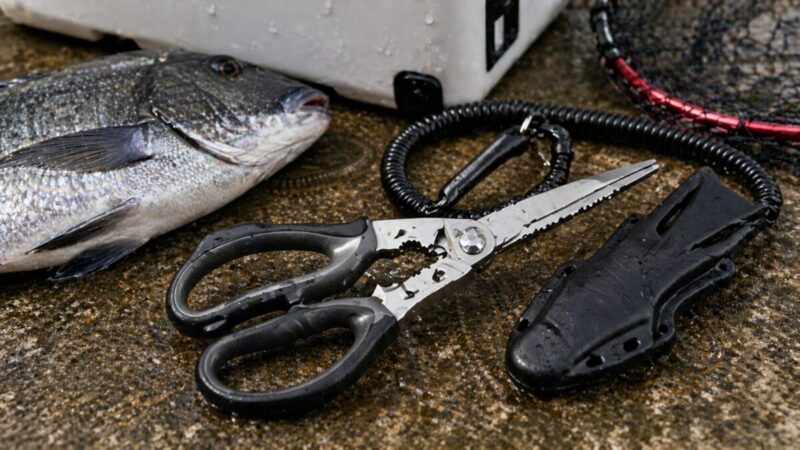 クーラーボックスのそばに、魚の持ち帰りや処理に使う釣り用ハサミを置いた実用的なイメージ