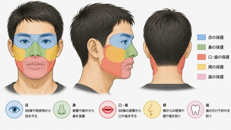 サバゲーマスクで守るべき顔と歯と頬の防護範囲