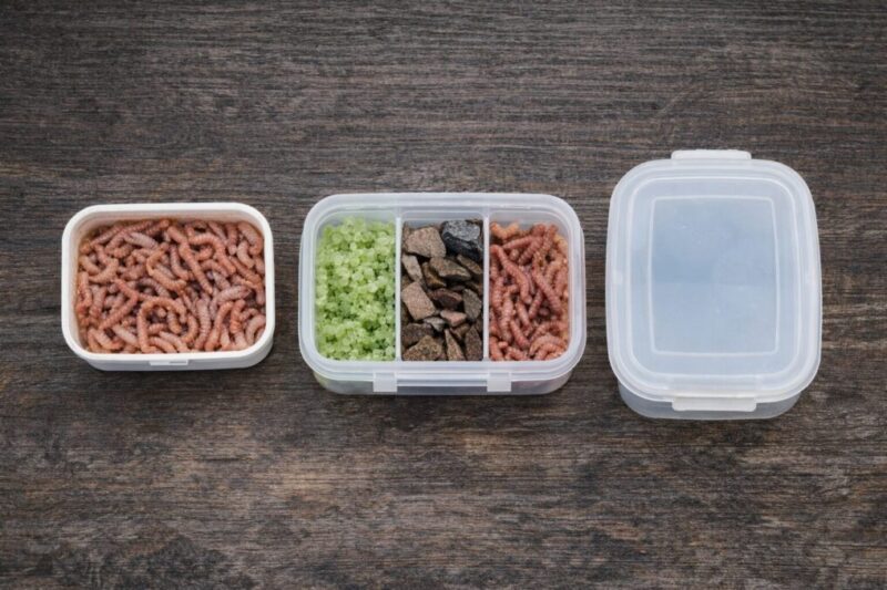 浅型ケースや仕切り付きケースなど釣り餌箱に使いやすい100均容器の比較イメージ