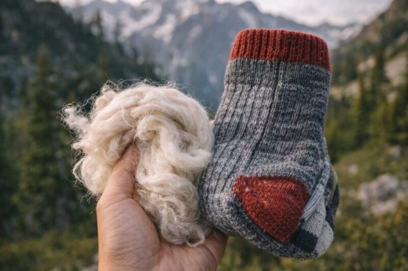 メリノウールの繊維と登山用の靴下を並べ、素材感を比較している様子