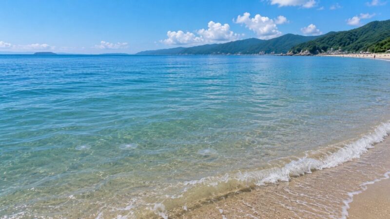 風や潮の流れによってクラゲが岸へ寄る夏の海岸風景